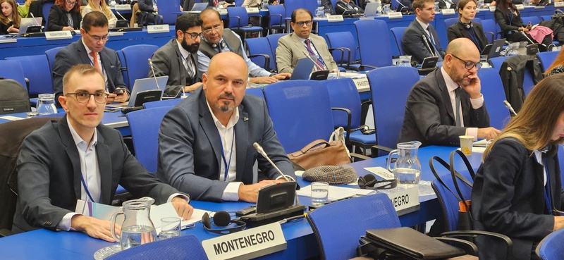 Sa 15. sjednice Grupe za reviziju implementacije UNCAC-a